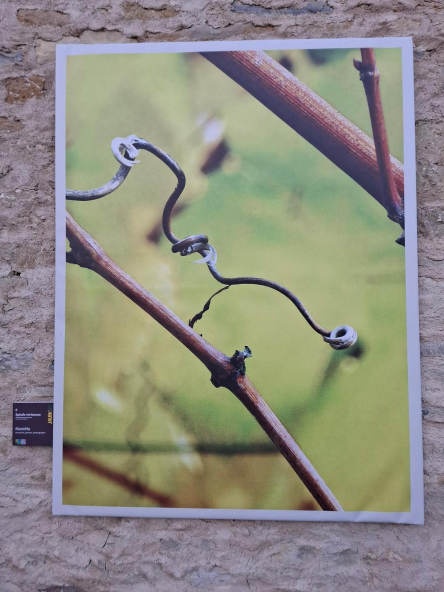 Maison D'Eusebia Château-Chalon 外观 照片